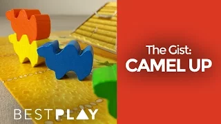 Camel up in under a minute