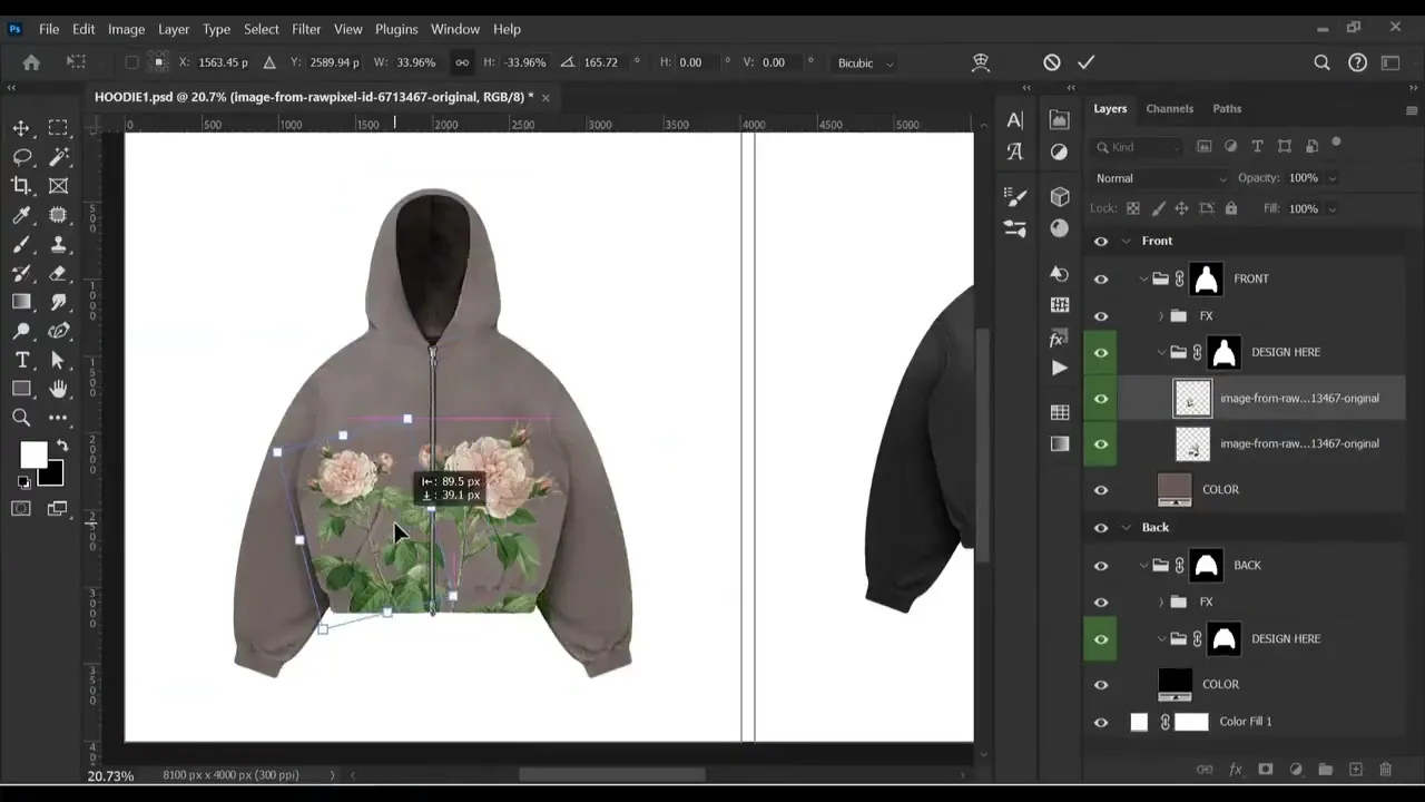Vídeo de Ducks View