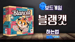 블랭캣 보드게임 하는 법 | Board game Rules | 3분게임요리