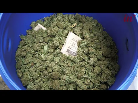 <span style="color:var(--accent)">Video:</span> Distrugge casa, scatta il Tso: in un box gli trovano 80 chili di droga