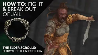 3. How to: The Elder Scrolls: Betrayal of the Second Era - Fight and Break Out of Jail