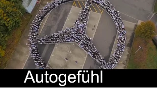 Mercedes AMG Petronas Formula 1 team wins 2014 FIA F1 championship Interviews