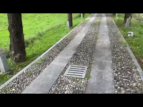 Youtube Preview