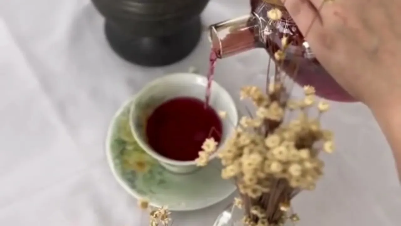 Vídeo de Ervanário de Luz