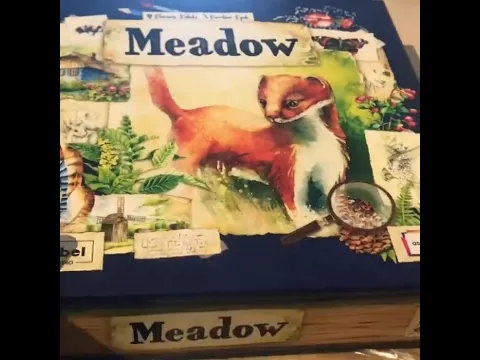 Unboxing MEADOW, what a JEWEL