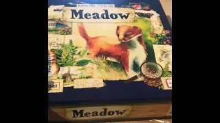 Unboxing MEADOW, what a JEWEL