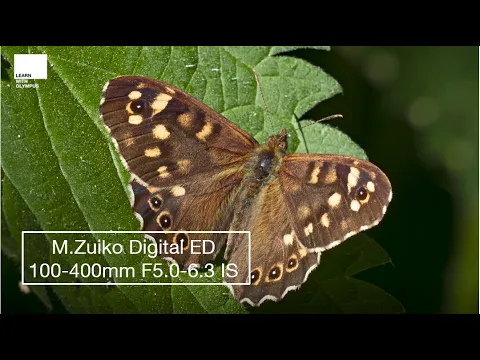 Video zu Olympus M.Zuiko Digital ED 100-400mm f5-6.3