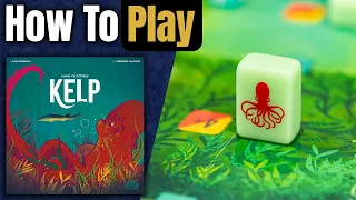 Kelp | How to Play | Learn to Play in 12 Minutes!