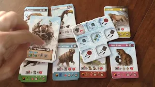 Endless Winter: Paleoamericans - Component Overview and Organization