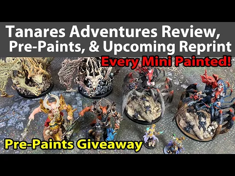 Tanares Adventures Review, Painted Minis, Pre-Paints, & Reprint