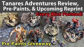 Tanares Adventures Review, Painted Minis, Pre-Paints, & Reprint