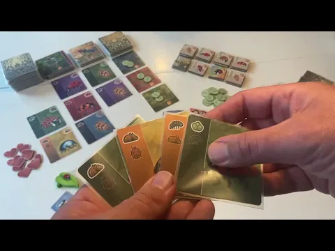 Ladybird Playthrough (first 3 rounds - digital sample copy)