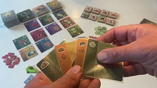 Ladybird Playthrough (first 3 rounds - digital sample copy)