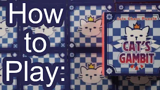 How to Play: Cat's Gambit