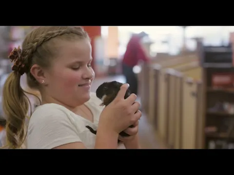 Why should I buy a Petland pet?