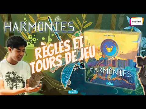 Harmonies - Règles et Tour de jeu