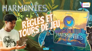 Harmonies - Règles et Tour de jeu