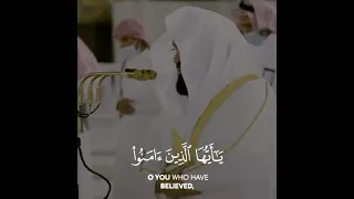 Islamic whatsapp status video, Quran recitation status Islamic whatsapp status video, Quran recitation status