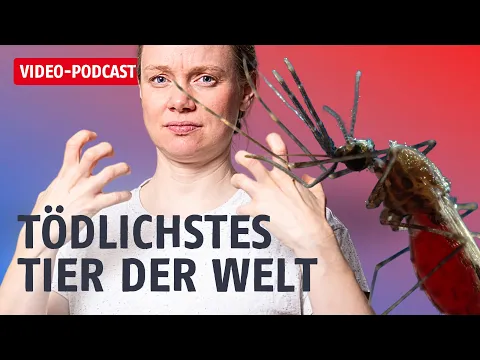 YouTube-Vorschaubild