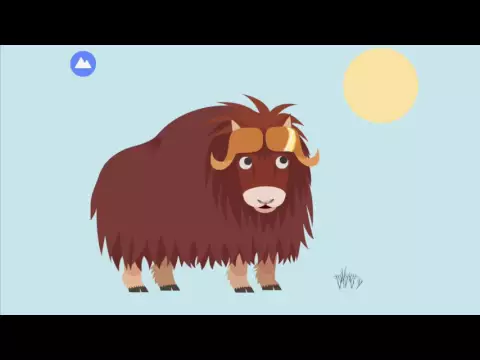 MaroPolo 北极 视频