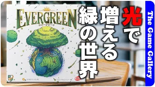 【エバーグリーン】光の方向を意識して緑を増やそう(訂正版) / TGG ボードゲーム