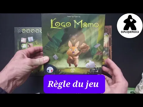 LOCO MOMO règle du jeu en français par expliquemoica