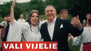 Vali Vijelie ❌ @GeorgianaLobont. - Beau ca nu am doua vieti (OFFICIAL VIDEO) 2024