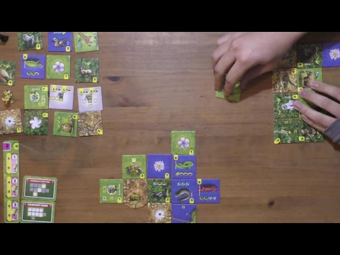 Demo (2 jugadores)