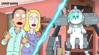 Snowball Fights Back | Rick and Morty | adult swim