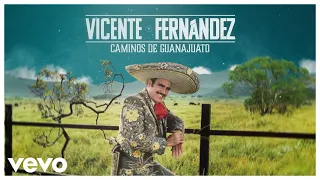 Vicente Fernández - Camino de Guanajuato (Mix 2023 [Video Lyrics])