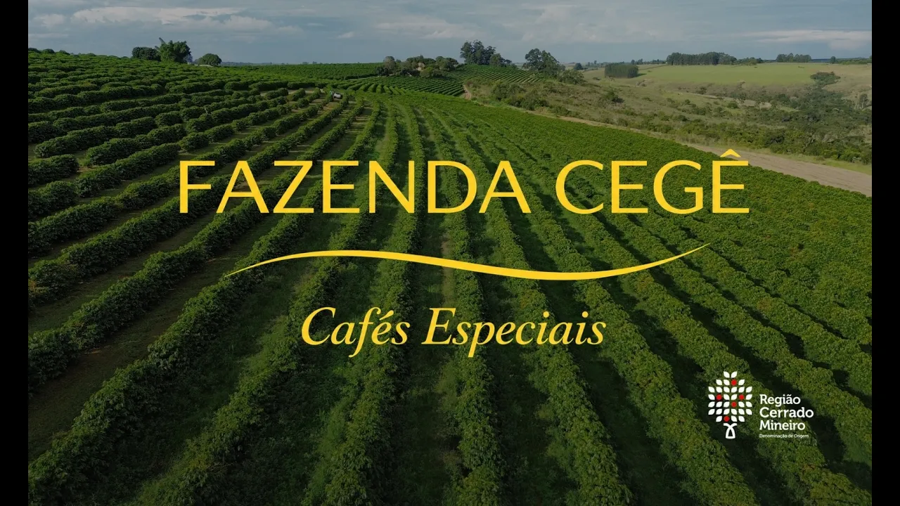 Vídeo de Agro Cegê S/A - Cafés Especiais