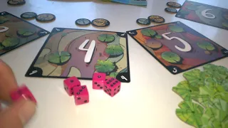 Sequoia - przebieg gry