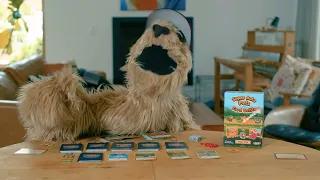 How to Play Super Auto Pets Card Battle