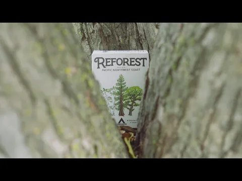 Reforest - Cinematic Trailer