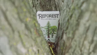Reforest - Cinematic Trailer