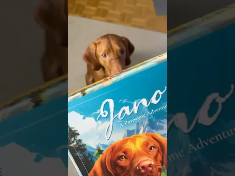 Jano - A Pawsome Adventure: What is in the box?