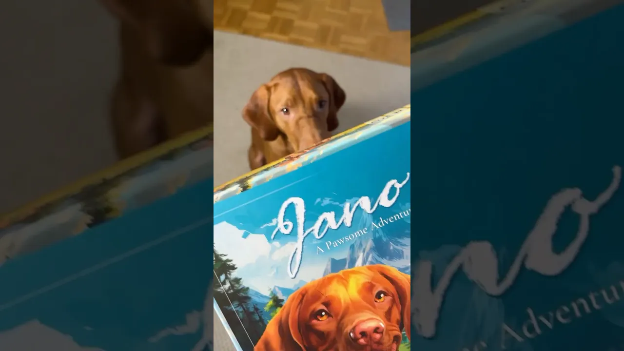 Jano - A Pawsome Adventure: What is in the box?