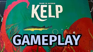 Kelp: Shark vs. Octopus | The End Game (Gameplay)