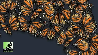 Mariposas Gameplay Runthrough