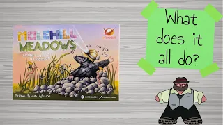 Molehill Meadows - Unboxing & How to Play