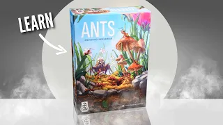 Ants Board Game | Full Solo Playthrough & Tutorial