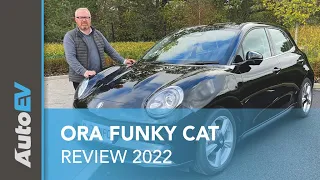 ORA Funky Cat - The Cat's whiskers?