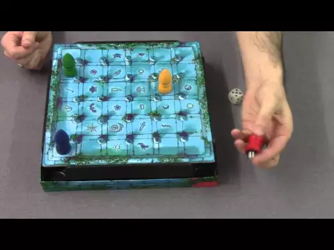 The Magic Labyrinth - A Dice Cup 'how to play' video by Steve Raine