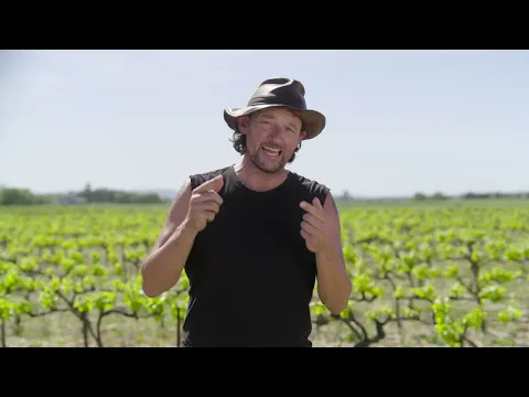 youtube-video-thumbnail