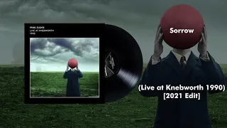 Pink Floyd - Sorrow (Live at Knebworth 1990) [2021 Edit]