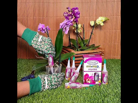 Fertilizante Vithal Gota a Gota Para Orquídea Com 6 Ampolas de 32ml Cada