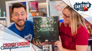 Algae Inc. Kickstarter Overview