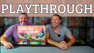 Tea Garden: Puerh | Playthrough | Capstone Games