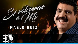Si Volvieras A Mi, Maelo Ruiz - Video