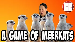 Shake It Meerkat | Korean Card Game Review